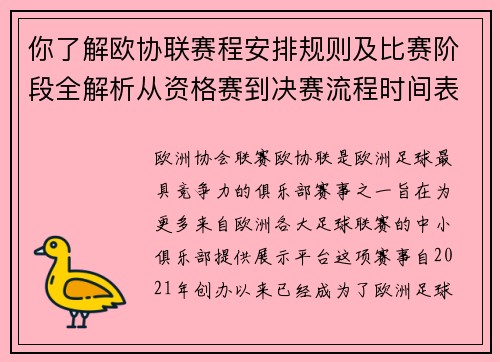 你了解欧协联赛程安排规则及比赛阶段全解析从资格赛到决赛流程时间表详解